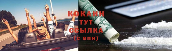 шишки Аркадак