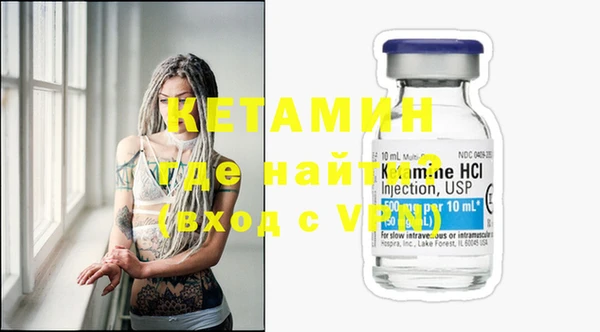 шишки Аркадак