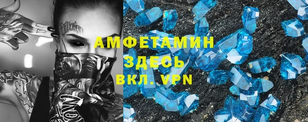 шишки Аркадак