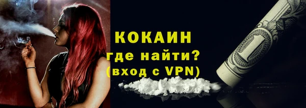 шишки Армянск