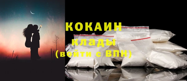 шишки Аркадак