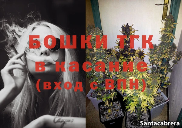 шишки Армянск