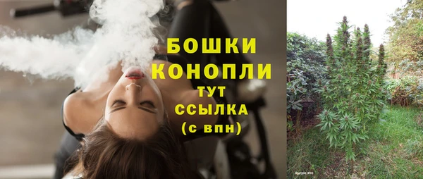 шишки Аркадак