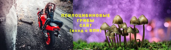 apvp Алексин