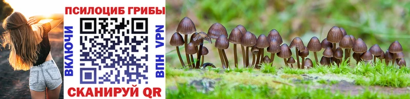 цены   Могоча  Галлюциногенные грибы Magic Shrooms 